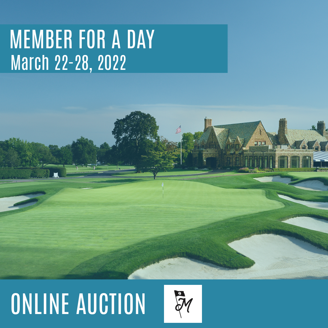 Member For A Day Online Auction